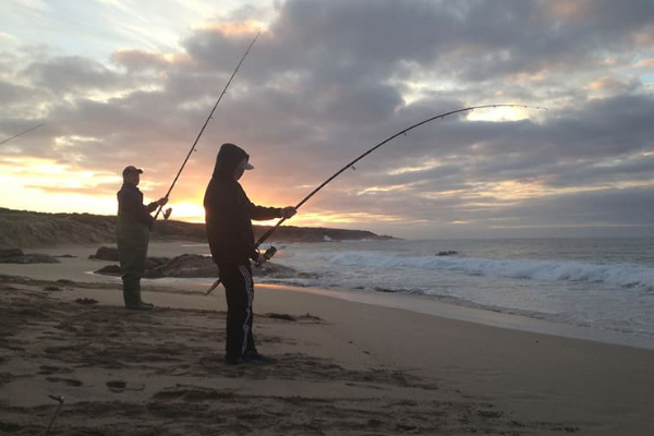 Two fishermen stand on a beach surf fishing