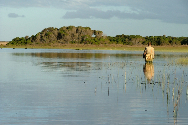 A man standing in a lake back on flyfishing