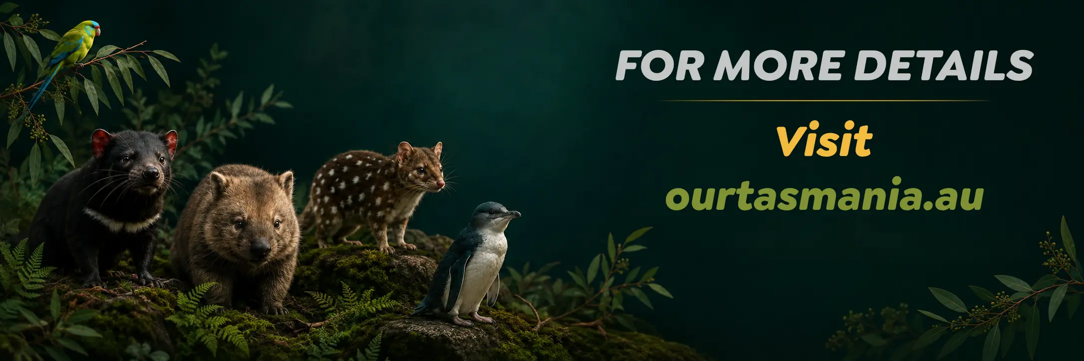 For more details, visit ourtasmania.au — statewide species reference
