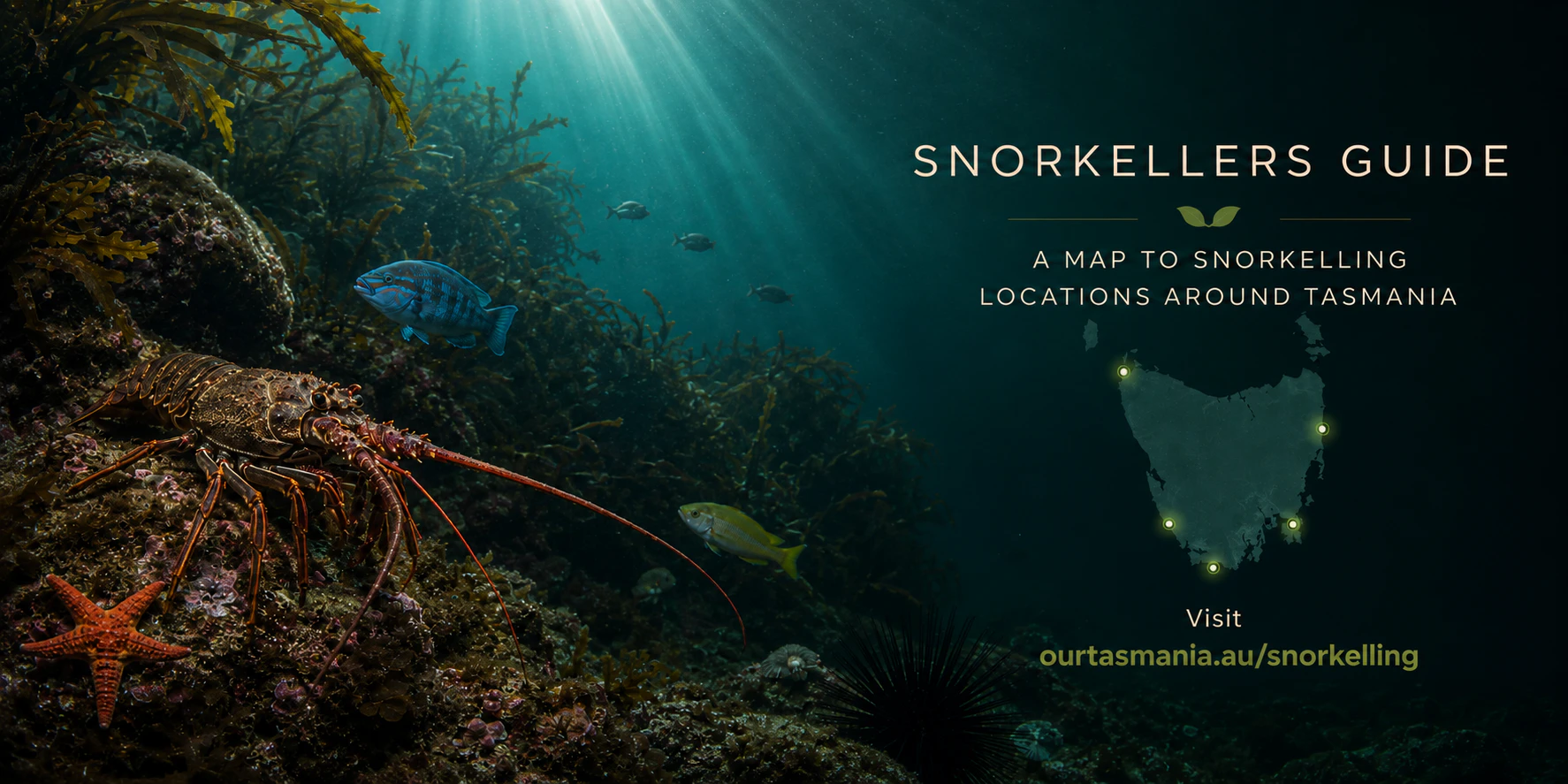 For more details, visit ourtasmania.au/snorkelling/ — statewide Snorkelling locations